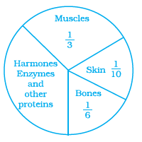 Page 45 Chapter 2 Class 8th NCERT Exemplar Page 45 Chapter 2 Class 8th NCERT Exemplar